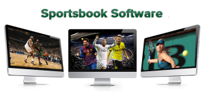 sportsbook software providers